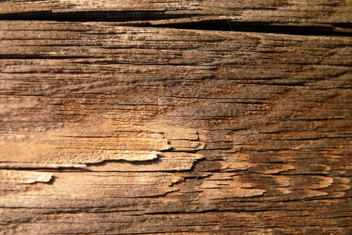 old board