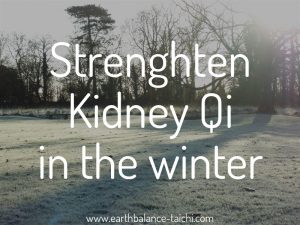 Winter Qi for the Kidneys