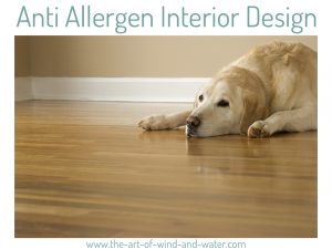 Anti Allergen Interior Home Design