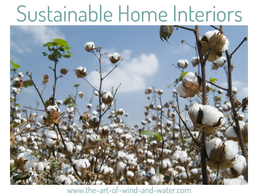 Sustainable Home Interiors