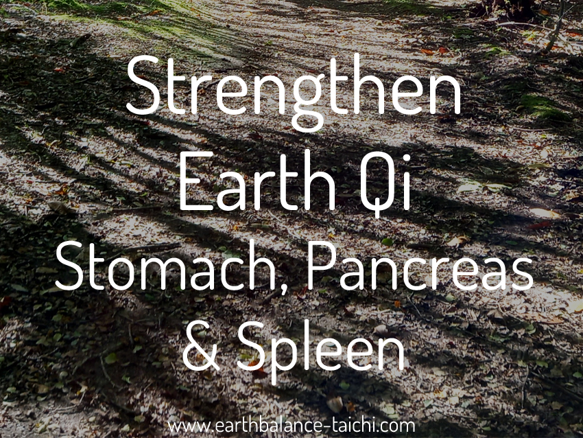 Earth Qi for the Stomach Pancreas