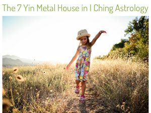 Seven Yin Metal House in I Ching Astrology