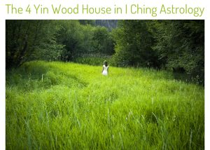 Four Yin Wood House I Ching Astrology