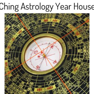 I Ching Astrology Year Houses