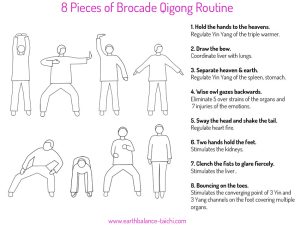 8 Pieces of Brocade TCM