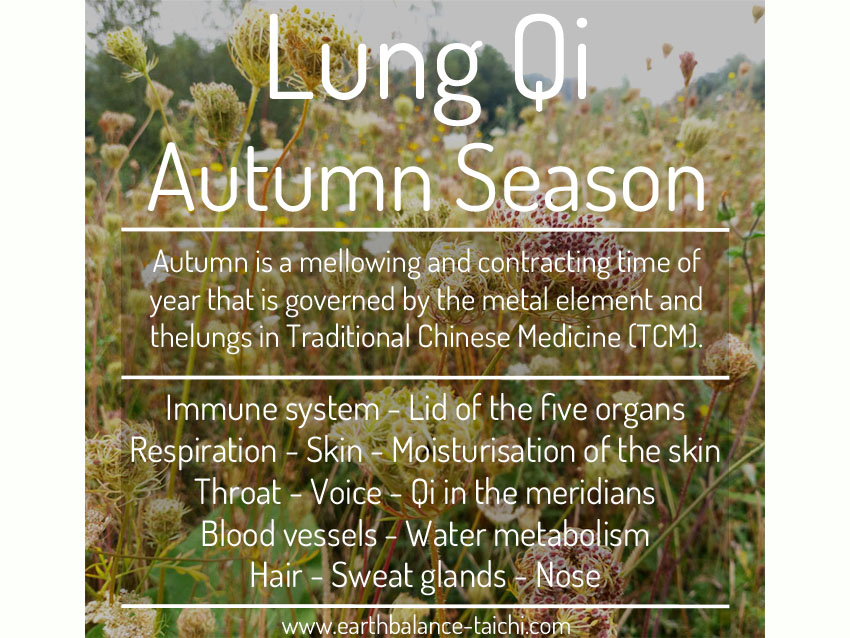Autumn Qigong for the Lungs