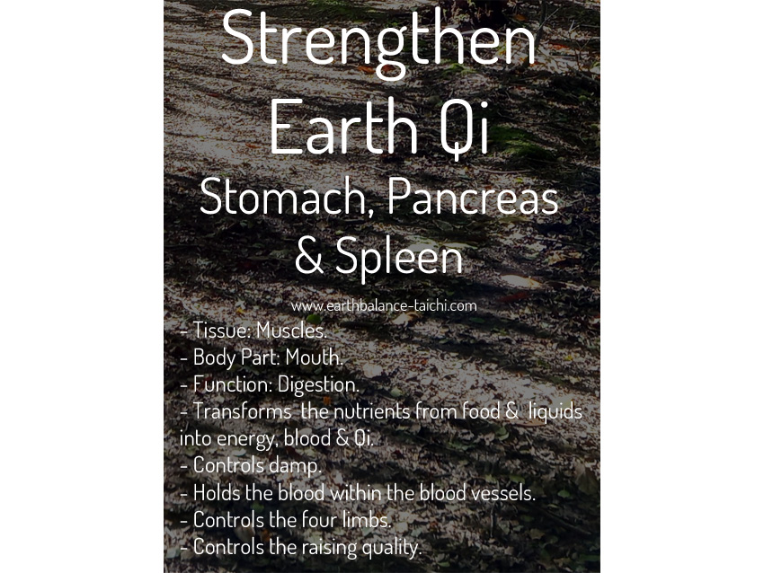 Earth Qi for the Stomach Pancreas Spleen