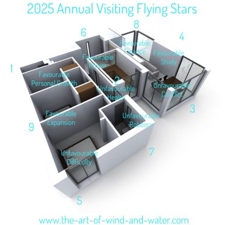 2025 Interior Annual Flying Stars