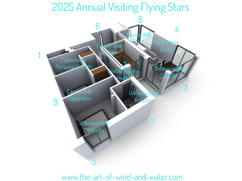 2025 Interior Annual Flying Stars